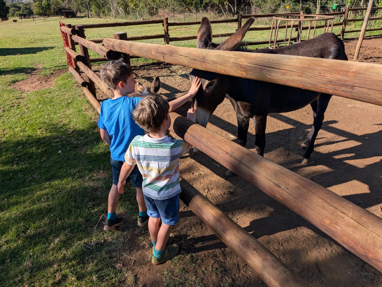 Ale, Sebi e l'Asinello