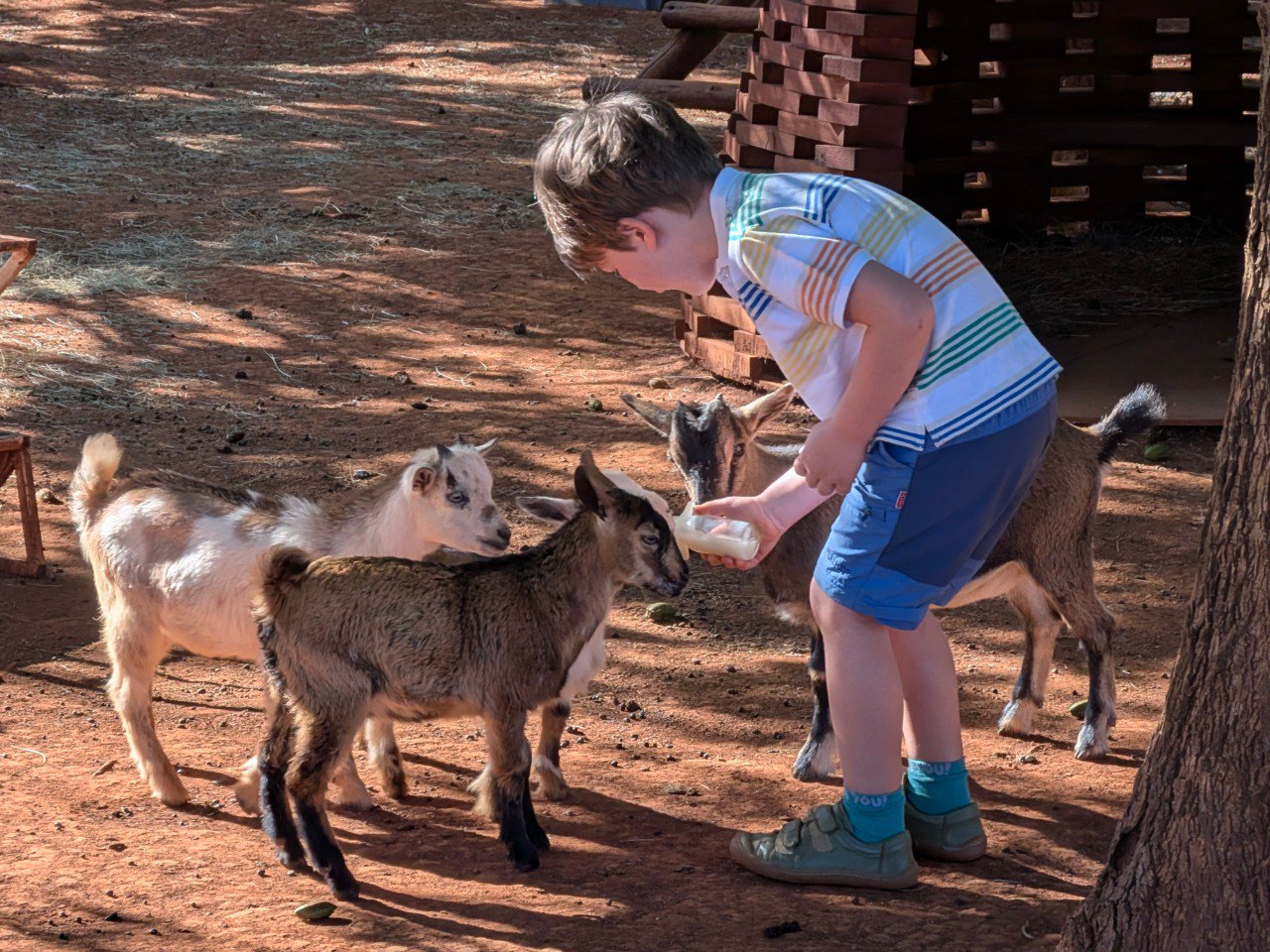 Sebi Circondato dall'Affetto