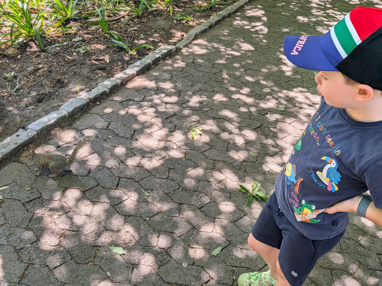 Incontro con uno Scoiattolo