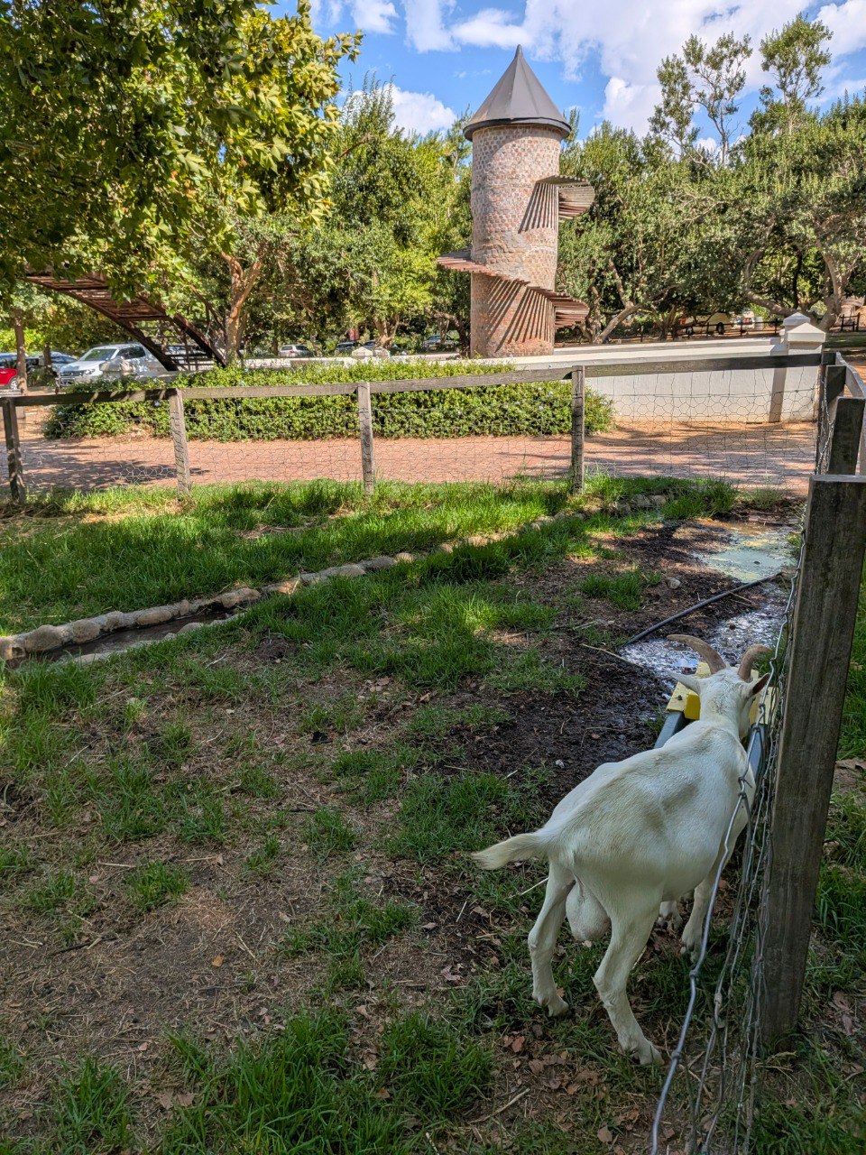 La Torre delle Capre a Fairview